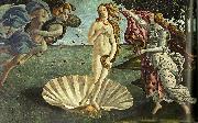 Sandro Botticelli venus fodelse oil painting reproduction